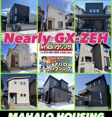 新ブランド『MAHALO-358Z』販売開始後３ヶ月が経ちました💁🏻‍♀️